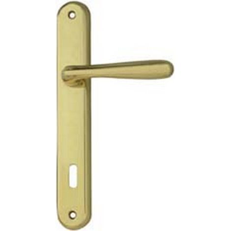 1PA MANIGLIA KAROL CON PLACCA IN ZAMA FINITURA OTTONE LUCIDO - mm.90 foro normale