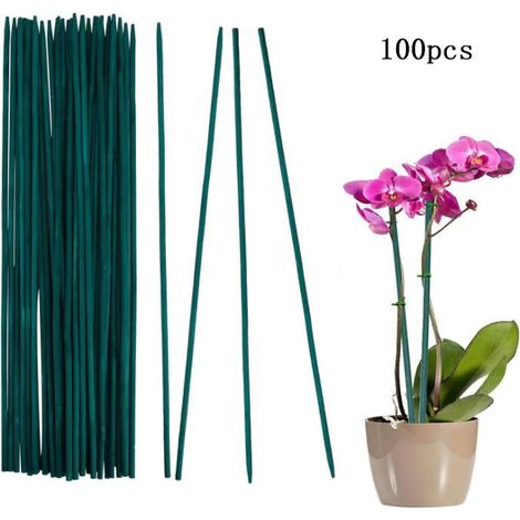 Tuteur Plante Bâtons de Support de Plantes - Lot de100 30cm Piquets de Plantes Résistants aux Intempéries Tuteur Tomate de Jardin pour Plantes Pois Légumes Support