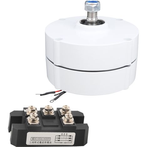 Générateur à Aimant Permanent 100 W 12 V NE-100, Haute efficacité, pour une Utilisation Industrielle, Résistant aux Températures Extrêmes, Pratique à Installer (Moteur + (1/5)