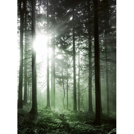 Papier peint panoramique vert arbre aspect naturel | Tapisserie panoramique foret rayon de soleil | Papier peint panoramique salon effet zen - 192 X 260 cm (4 pièces) (1/2)