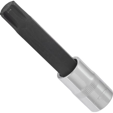 VIGOR Schraubendrehereinsatz, V2219, 1/2 (12,5 mm) Vierkant hohl, Innen Keilprofil Ribe-CV, SW M14 (1/3)
