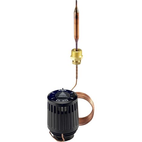 Danfoss thermostatisches Element RAVK Fernfühler, 25-65 Grad C Kapillare 2,0 m (1/4)