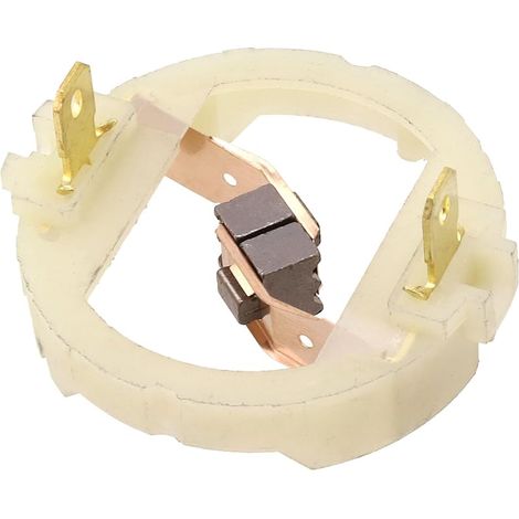 Balai Charbon pour Parkside PWSA 20 Li C3 / PWSA 20 Li B3 / PWSA 20 Li B2 moteur RS897 RS895 RS875 RS887, Pour Moteur de Perceuse Rechargeable au Lithium (1/5)