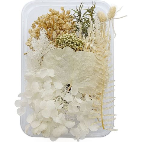 Fleurs séchées élégantes, écologiques et colorées, parfaites pour l'artisanat DIY et la décoration intérieure (1/5)