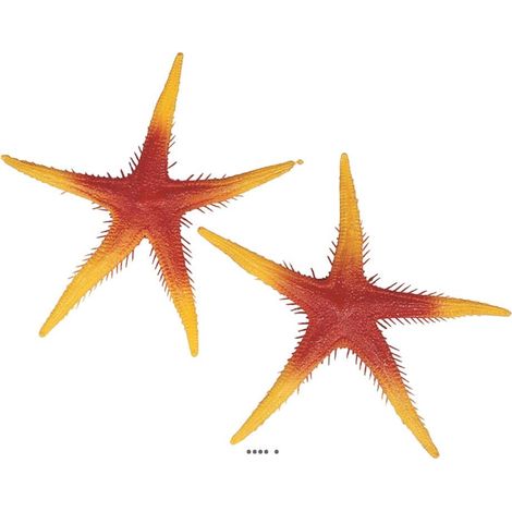 Etoile de mer artificielle orange X 2 en Plastique soufflé D 250 mm (1/3)