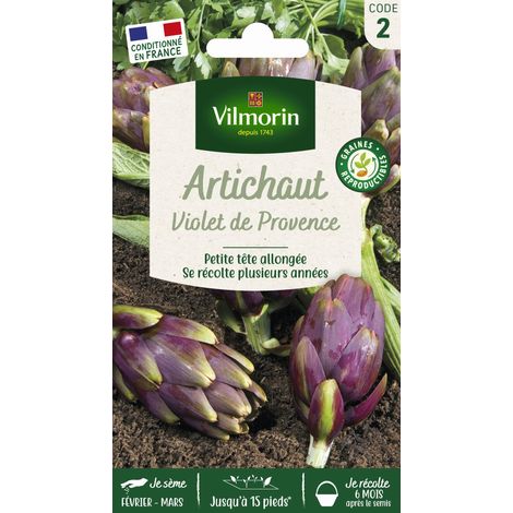 Vilmorin – Artichaut violet de Provence – Graines de potager – Exposition ensoleillée – Semis de mars à mai – Récolte de juin à octobre