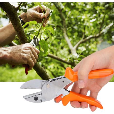 Hochwertige Gartenschere mit Edelstahlklinge, Obstschere, Gartenschere für vielfältige Zwecke (1/5)