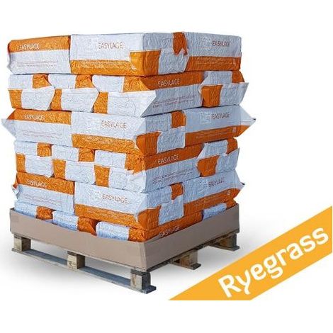 Pallet 30 pz Fieno 20KG Ryegrass Easylage Loietto (1/2)