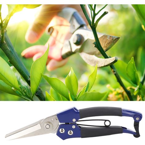8-Zoll-Obstpflücker, Gartenschere, Astschere, Trimmer (1/5)