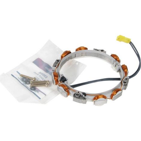 Alternateur autoportée pour moteurs Briggs & Stratton – Compatible modèles 21R707, 21R777, 21R877 – Performance élevée garantie