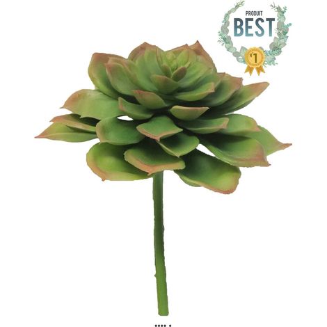Echeveria glauca artificielle en piquet, H 17 cm, D 13 cm, Vert - BEST - couleur: Vert (1/2)