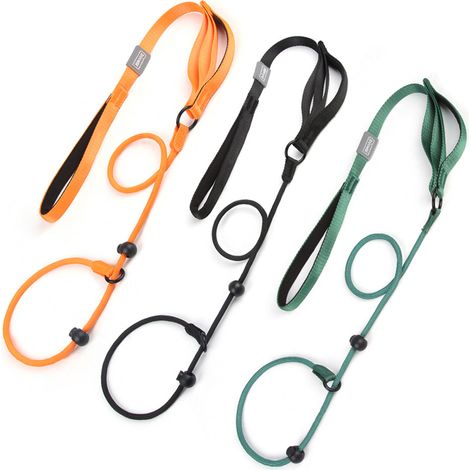 Laisse pour chien, laisse réglable, entraînement une pièce, laisse et collier sans traction, laisse en P pour animal de compagnie de taille moyenne et grande (1/5)