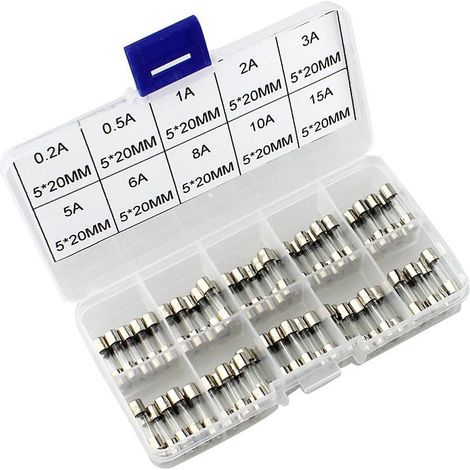 100x Ensemble de fusibles en verre à soufflage rapide, 20 x 5mm, kit de fusibles à soufflage rapide avec boîte à fusibles en plastique transparent (1/5)