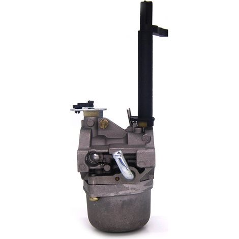 Carburatore compatibile con Briggs & Stratton 796323 796321 796322 699966 Ricambio motore - ALTRO (1/4)