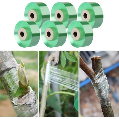 Kindergarten-Klebeband, 100 m x 6 Rollen, selbstklebendes Pfropfband, Reparaturband für im Garten veredelte Obstbaumpflanzen (1/5)