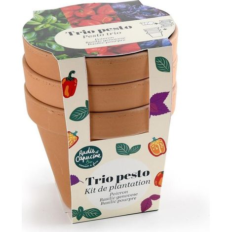 Trio de pots en terre cuite - Pesto Bio