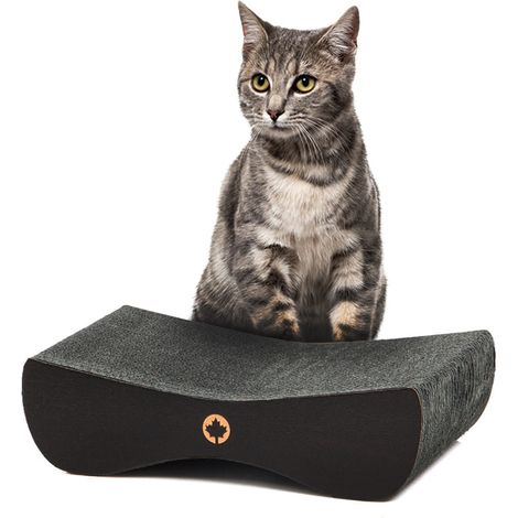 Satellite 2.0 klein Katzenkratzbaum Kanadische Katze Schwarze Edition Schwarz (1/5)