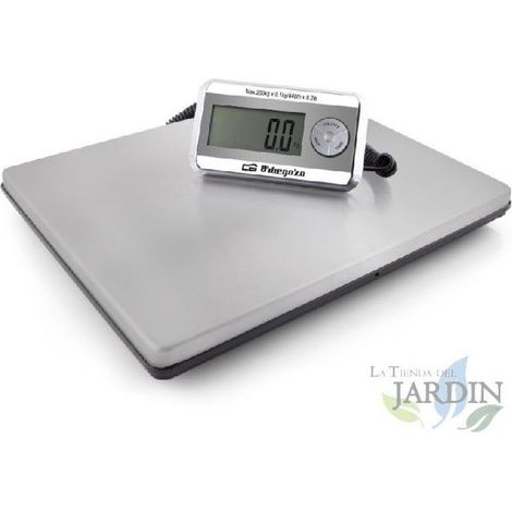 Balance de cuisine électronique Orbegozo en acier inoxydable. Capacité maximale 200kg. Paravent à accrocher au mur ou avec suppo