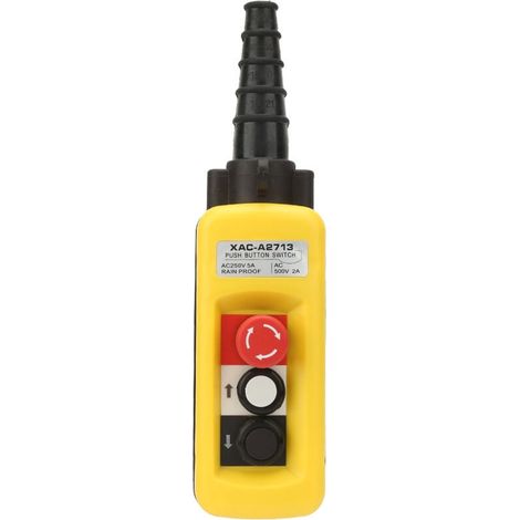 Station de Commande Pendante pour Grue avec Interrupteur Poussoir et Arrêt d'Urgence