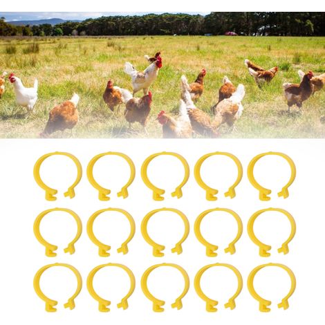 Lot de 100 anneaux de cheville réutilisables en plastique jaune 18 mm pour l'élevage de poules, canards et oies. (1/5)