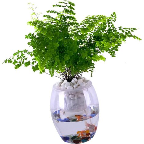Corda Absorvente Para Plantas, Vaso De Algodão, Sistema Hidropônico, Medidores, Sistema De Irrigação Automática, Manutenção (1/5)
