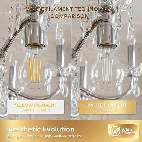 Ampoule LED E27, Filament Blanc,4W Équivalent 40W, LED Ampoule à Vis Edison, A60 Type Classique 470 Lumens 2700K Blanc Chaud, Ampoules Économie D'énergie, Dimmable (1/2)