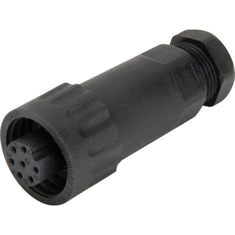 Connecteur IP67 femelle, droit Weipu 814058 Pôle: 6 + terre 10 A 1 pc(s) A608861 (1/2)