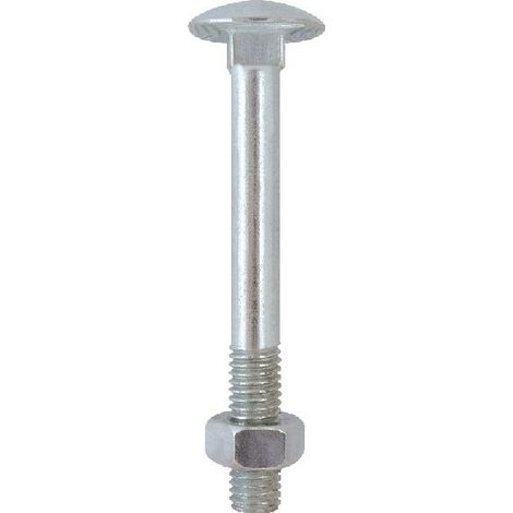 BULLONE ZINCATO TESTA TONDA T.T.Q.S.T.D.E. 6 x 60