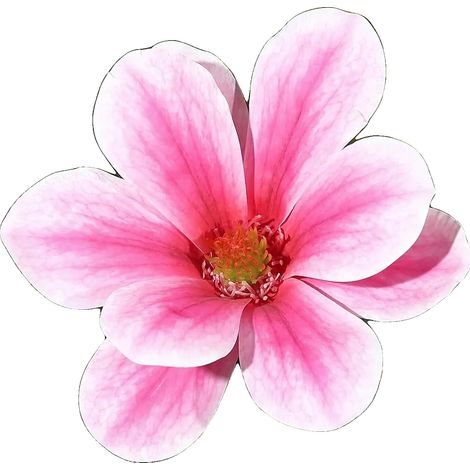 Albero artificiale, design realistico, non richiede manutenzione, fiori rosa, 120 cm (1/2)