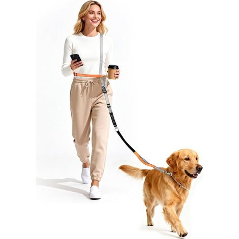 Laisse Main Libre Chien, Laisse Canicross pour Moyens Grands Chiens