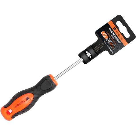 Cacciavite Phillips PZ 2x100mm /teger (1/3)