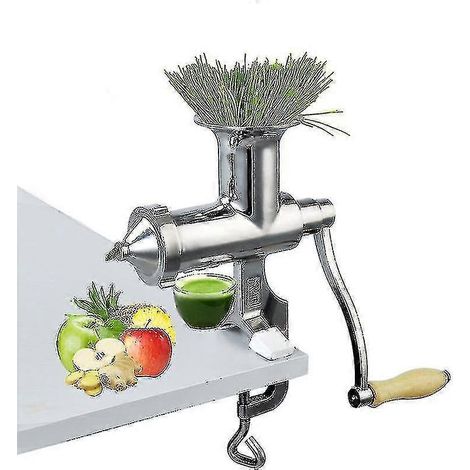 Extracteur de jus d'herbe de blé manuel en acier inoxydable à pression lente pour fruits, légumes et oranges YoGu (1/4)