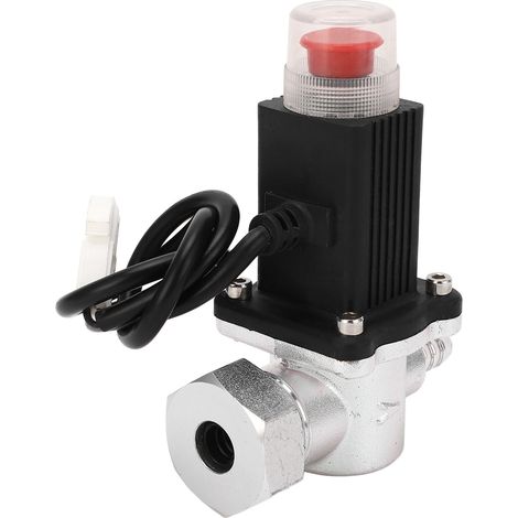 Solenoïde Gaz DN15 Vanne à Commande à Distance Coupure Automatique pour Tuyauterie et Bouteille (1/5)