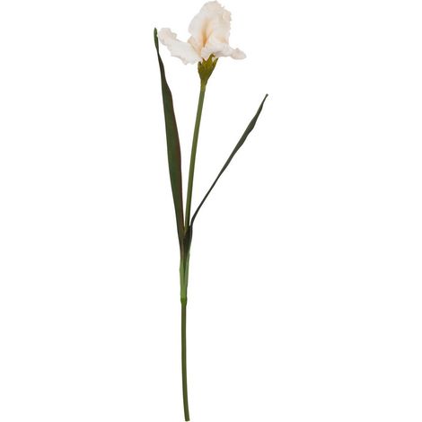 The Natural Garden Collection Pale Apricot Fringed Iris (Single Stem Flower) - Plastic - L13 x W13 x H83 cm