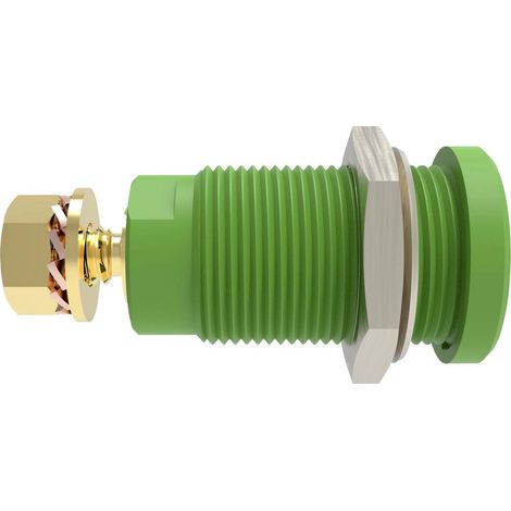 Schützinger DI SEB 9424 Au / GN Presa integrata di sicurezza dritto Verde 1 pz.