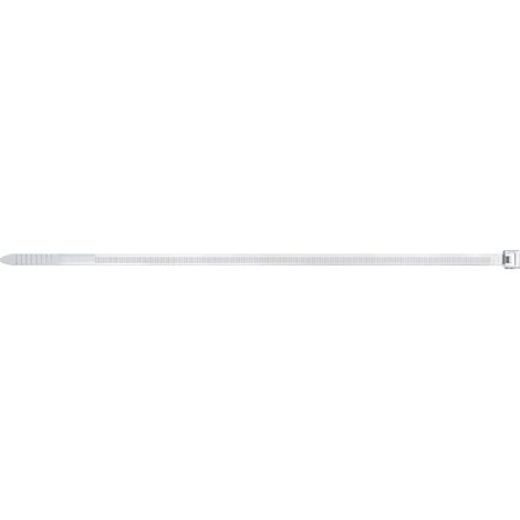 Fischer 100x  fascette per  cavi BN  8,8 x  810 mm  trasparente -  38000 (1/5)