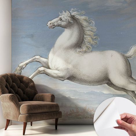 Papier peint adhésif autocollant pour salon chambre à coucher tendance et originale Chevaux au galop 250x250 cm (1/5)