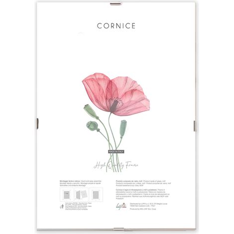Lupia - Cornice a Giorno APPLY con Pannello Frontale Crilex in Acrilico, Made in Italy, Trasparente, per foto, documenti, pergamene, diplomi, stampe artistiche, poster, quadri moderni 25x35 cm (1/4)