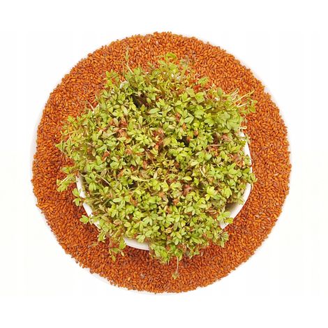 Crescione - semi per germogliatore - 100 g (1/3)