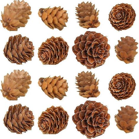 100 piezas de mini piñas decorativas rústicas para manualidades DIY, piñas artificiales para colgar en Navidad (1/4)