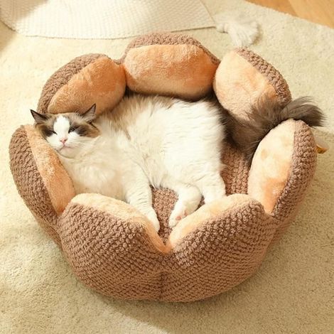 Lit pour Chat Lit pour Chien Lit pour Chat Lavable, Forme pétale de Cactus Lit pour Chat canapé, Mignon nid en Peluche, Cafe,M (1/3)