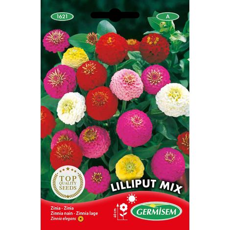 Graines de Zinnia 1.5 g Multicolore