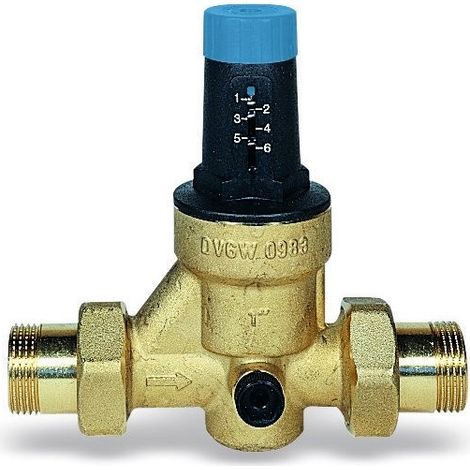 Reductor de presión de agua con escala de vatios de 1".