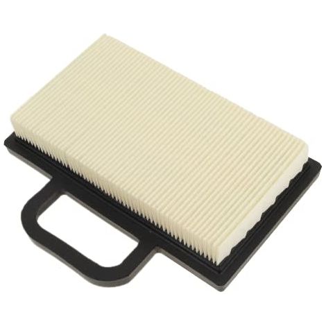 Luftfilter 499486s, 698754, 695667 für Rasenmähermotor briggs & stratton