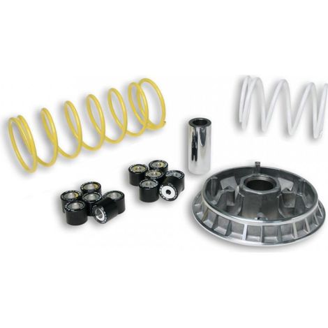 malossi multivar variator für roller honda 150 pantheon 2t 1998 (1/4)