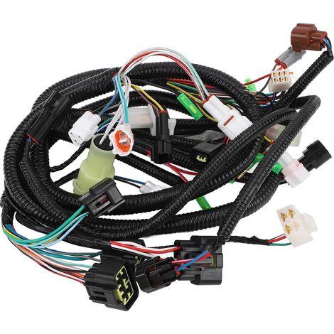 Faisceau de câbles électrique pour YFM660R Principal Faisceau de câblage électrique Connexion sûre Stable 5LP 82590 10 00 pour YFM660R 660 2002 à 2004 (1/5)