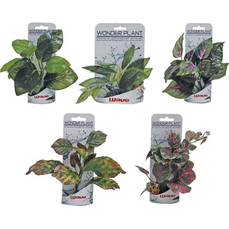 Set 10 pezzi Wonder Plant Series B 15-18 cm colori e forme assortite