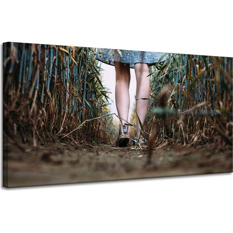 Leinwanddruck Natur Ein Spaziergang im Feld 120x60 cm
