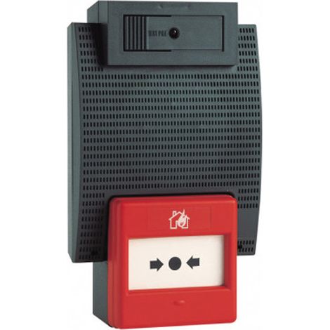 Cooper Securite   NUG31210   Coffret Alarme Type 4 a Piles (1/4)
