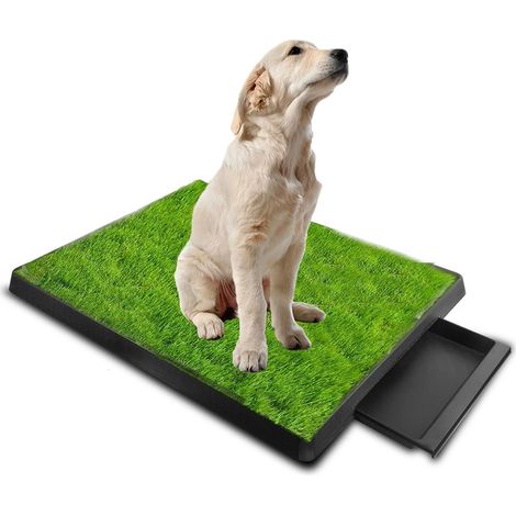 Toilettes pour Chien, avec Gazon-Artificiel Durable,pour en intérieur et en extérieur, réutilisable avec Plateau, Facile à Nettoyer, Idéal pour Les Chiens de Petite et Moyenne Taille63 x 51 cm (1/5)